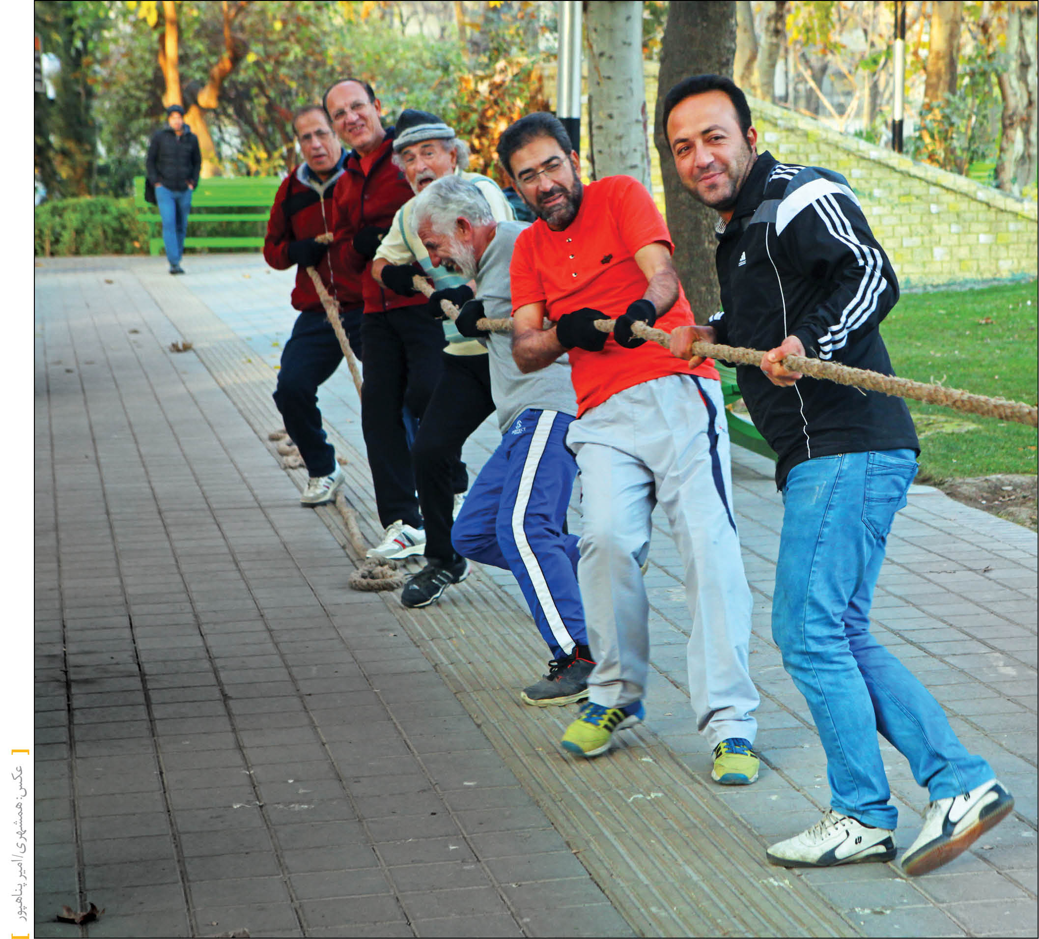 برنامه‌های خانواده‌محور شهرداری تهران برای افزایش سرانه فعالیت بدنی و تفریحی پایتخت‌نشینان در تابستان اعلام شد