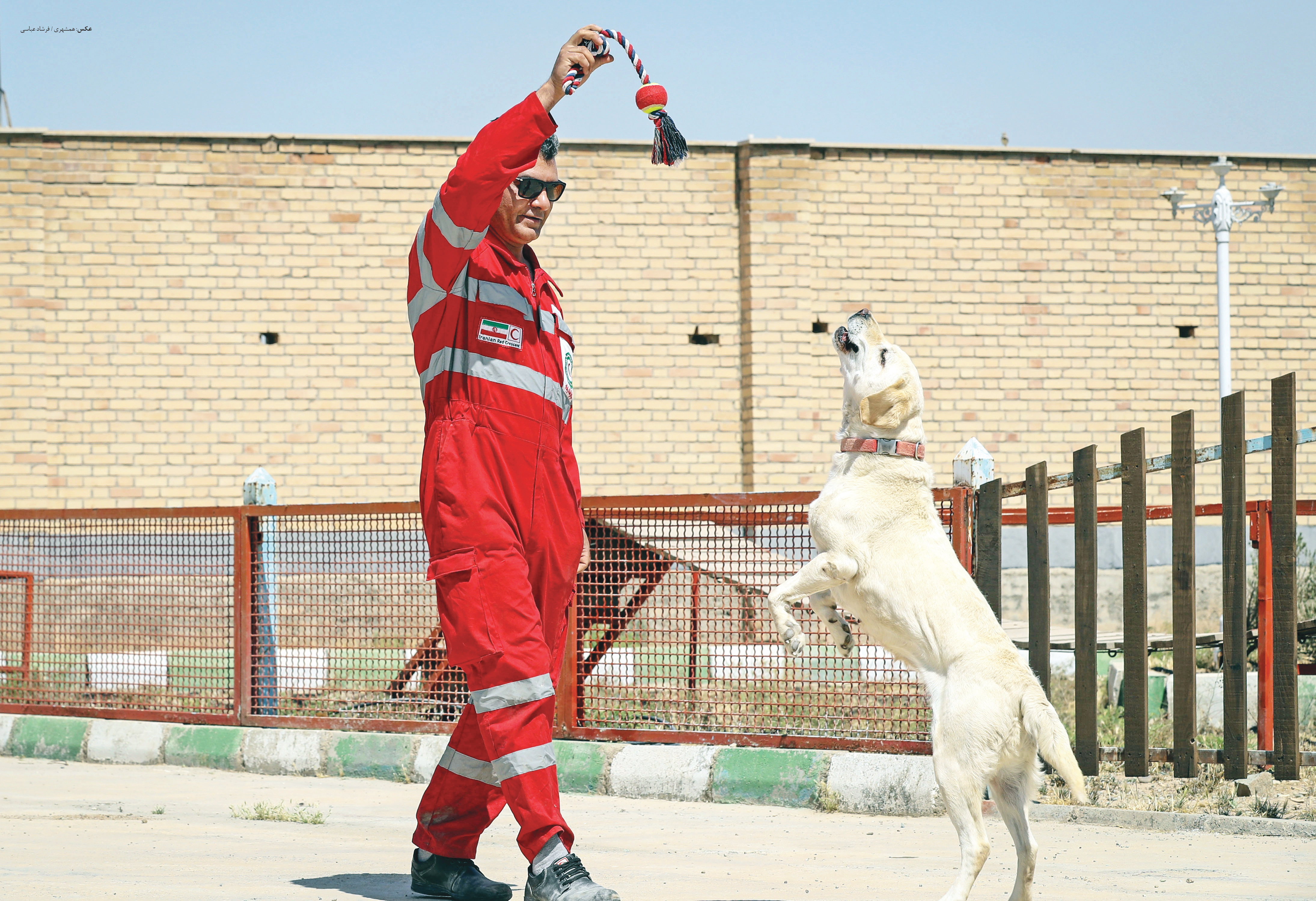 در اداره آنست سازمان امداد و نجات هلال‌احمر سگ‌های تجسس زیادی نگهداری می‌شود که در حوادث به نجات جان انسان‌ها می‌آیند