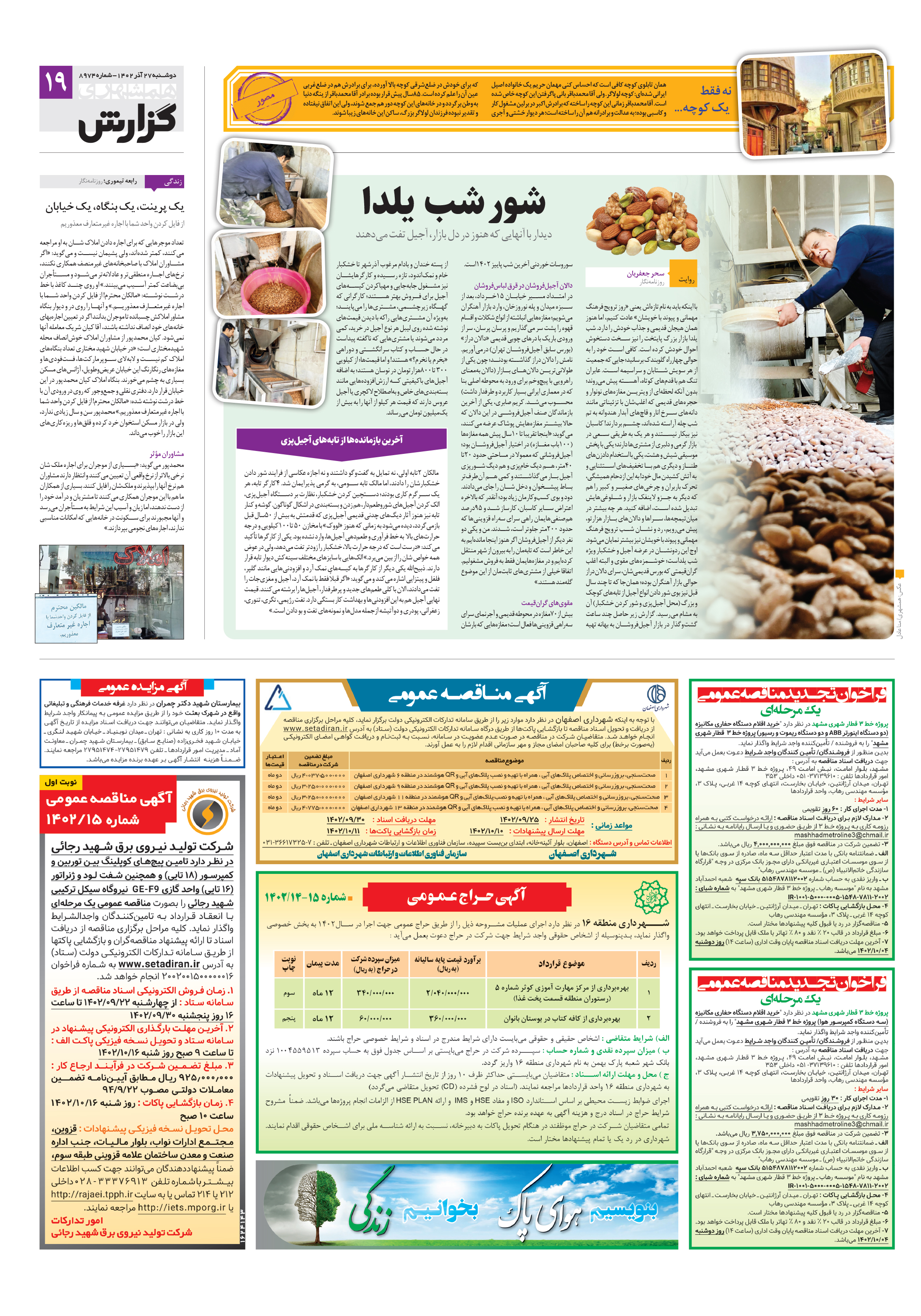 همشهری گزارش