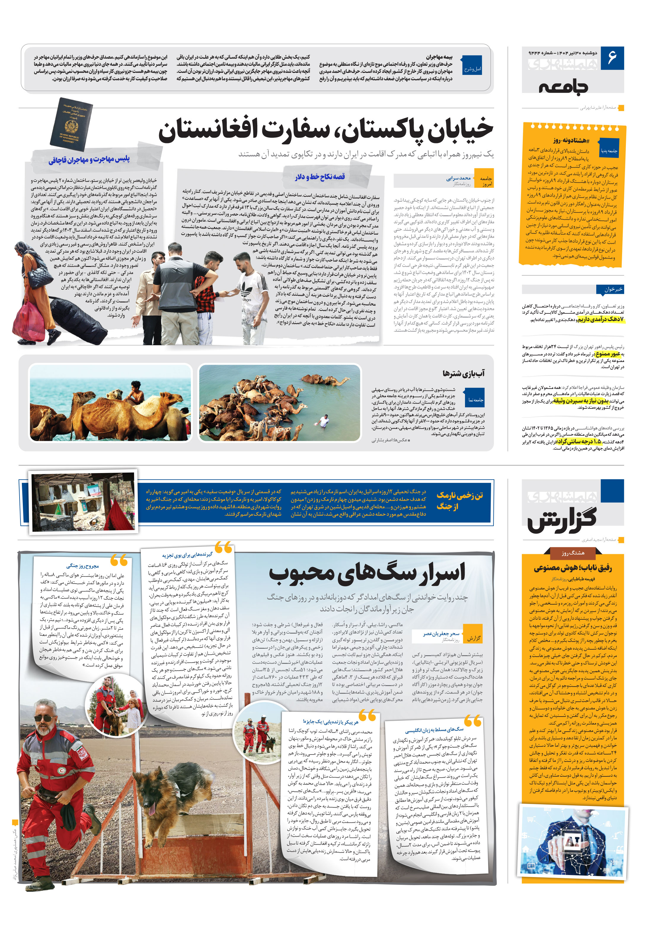 همشهری گزارش