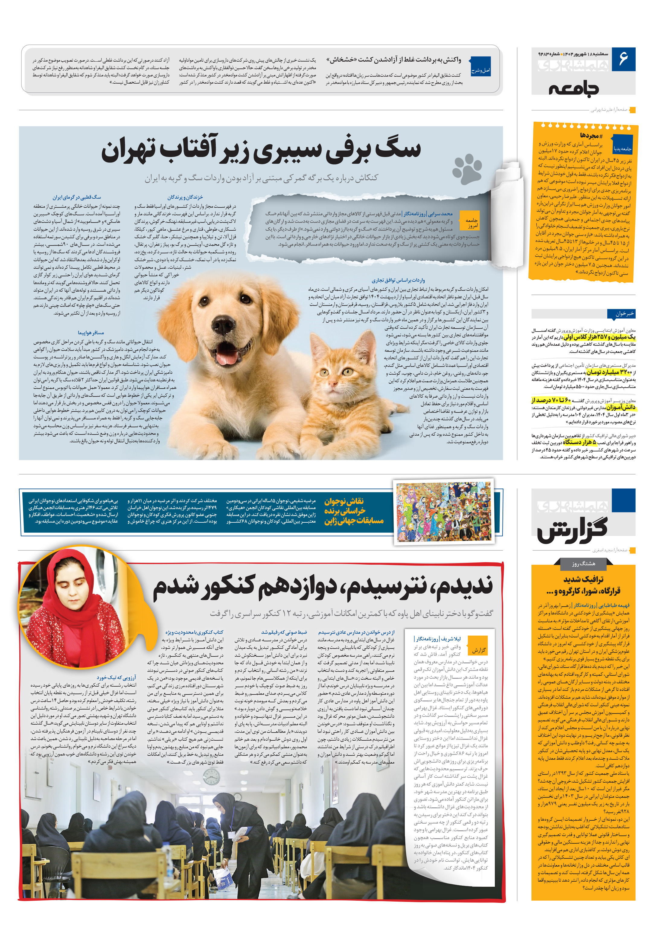 همشهری گزارش