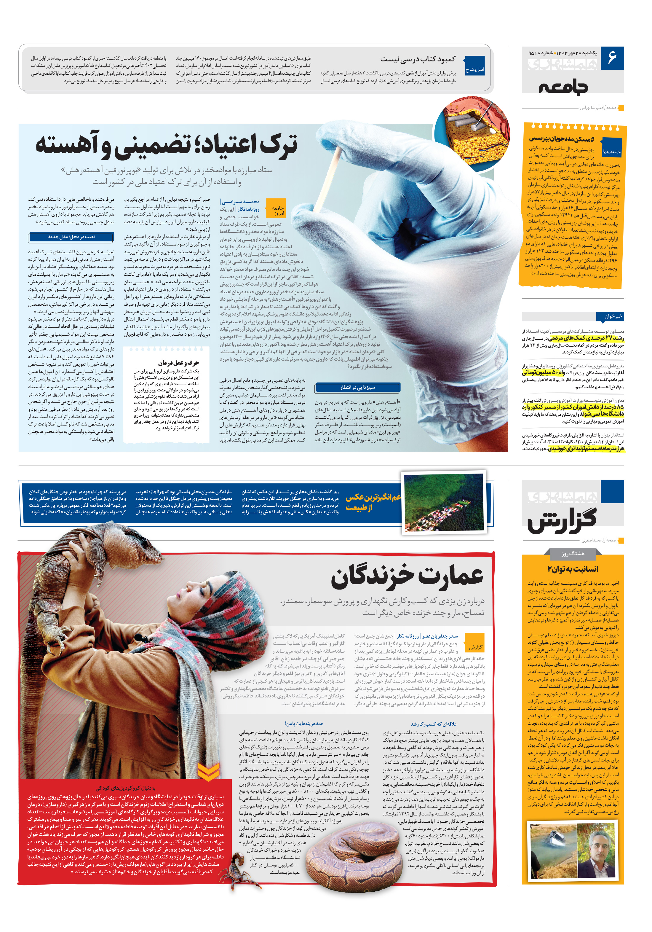 جامعه