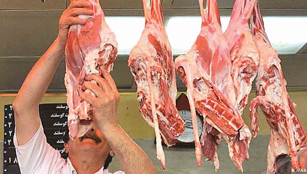 خرید گوشت به ارزان‌ترین قیمت