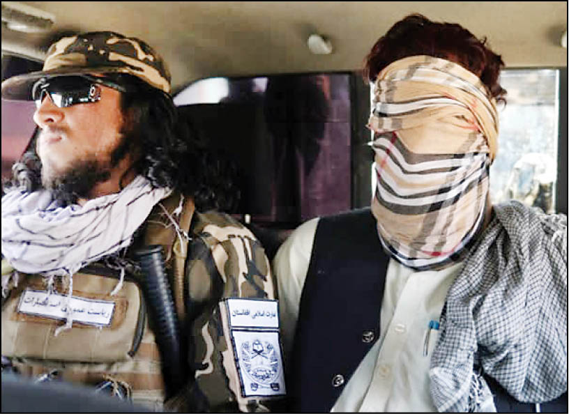 داعش بلای جان طالبان