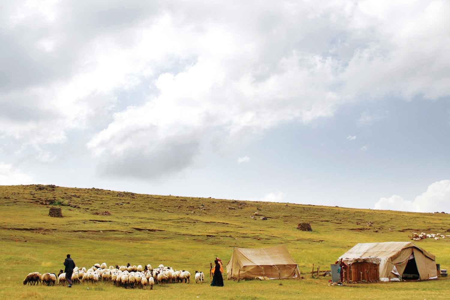 دغدغه‌های عشایر سمنان در ابتدای کوچ پاییزه