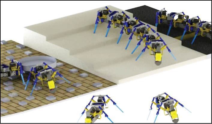 ساخت روبات با الهام از رفتار جمعی مورچه‌ها