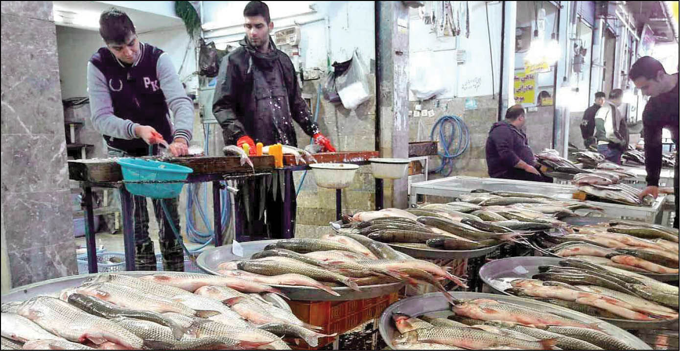 اعلام دلایل افزایش قیمت ماهی