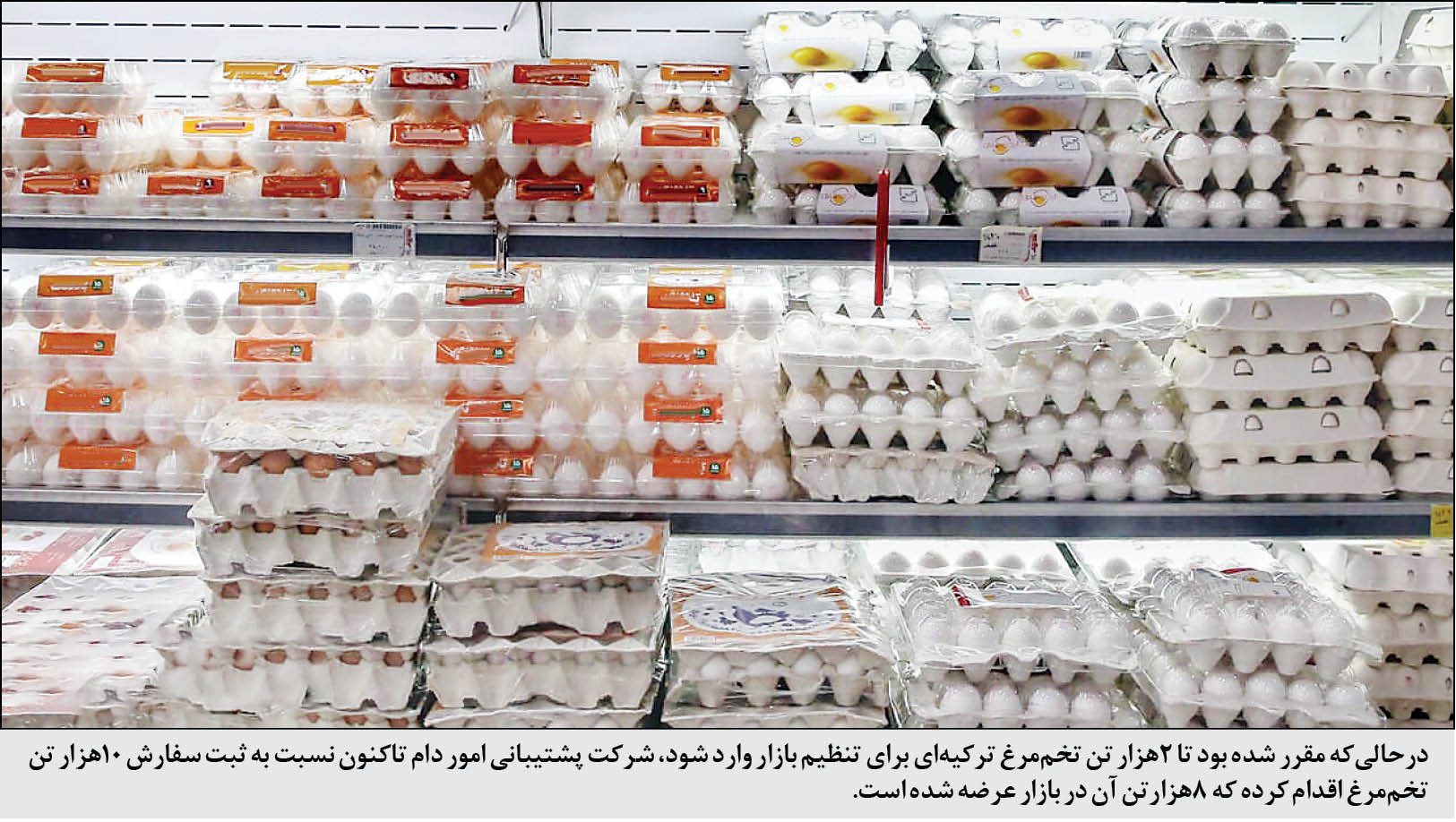 گزارش میدانی همشهری از عرضه چند‌نرخی و تأثیر واردات بیش از نیاز تخم‌مرغ بر بازار