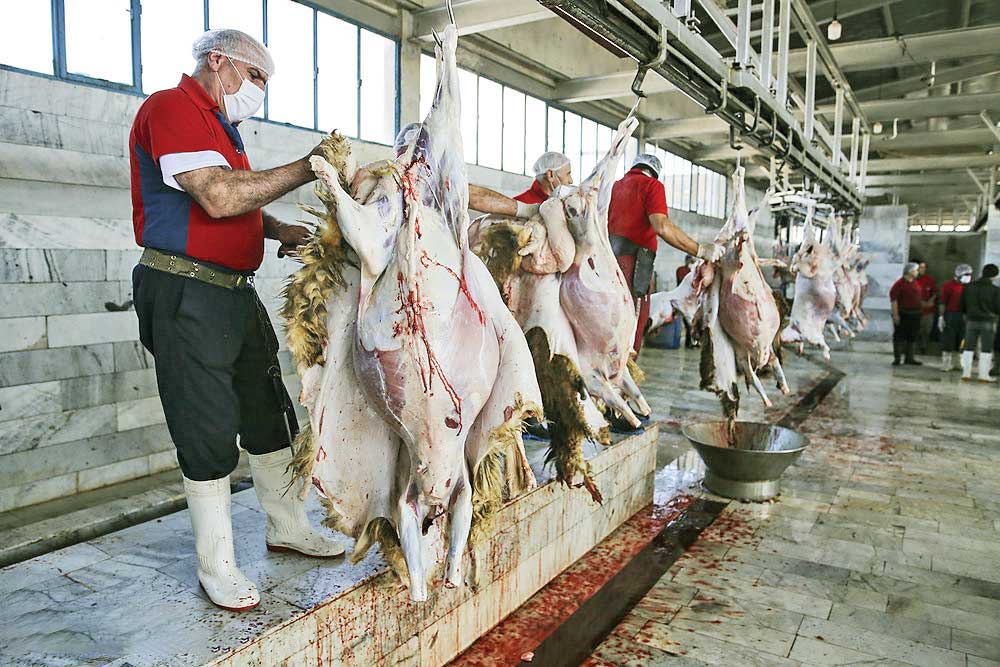 کاهش قیمت گوشت گوسفندی و گوساله در آبان‌ماه