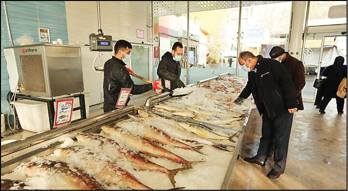 قیمت انواع ماهی در میادین