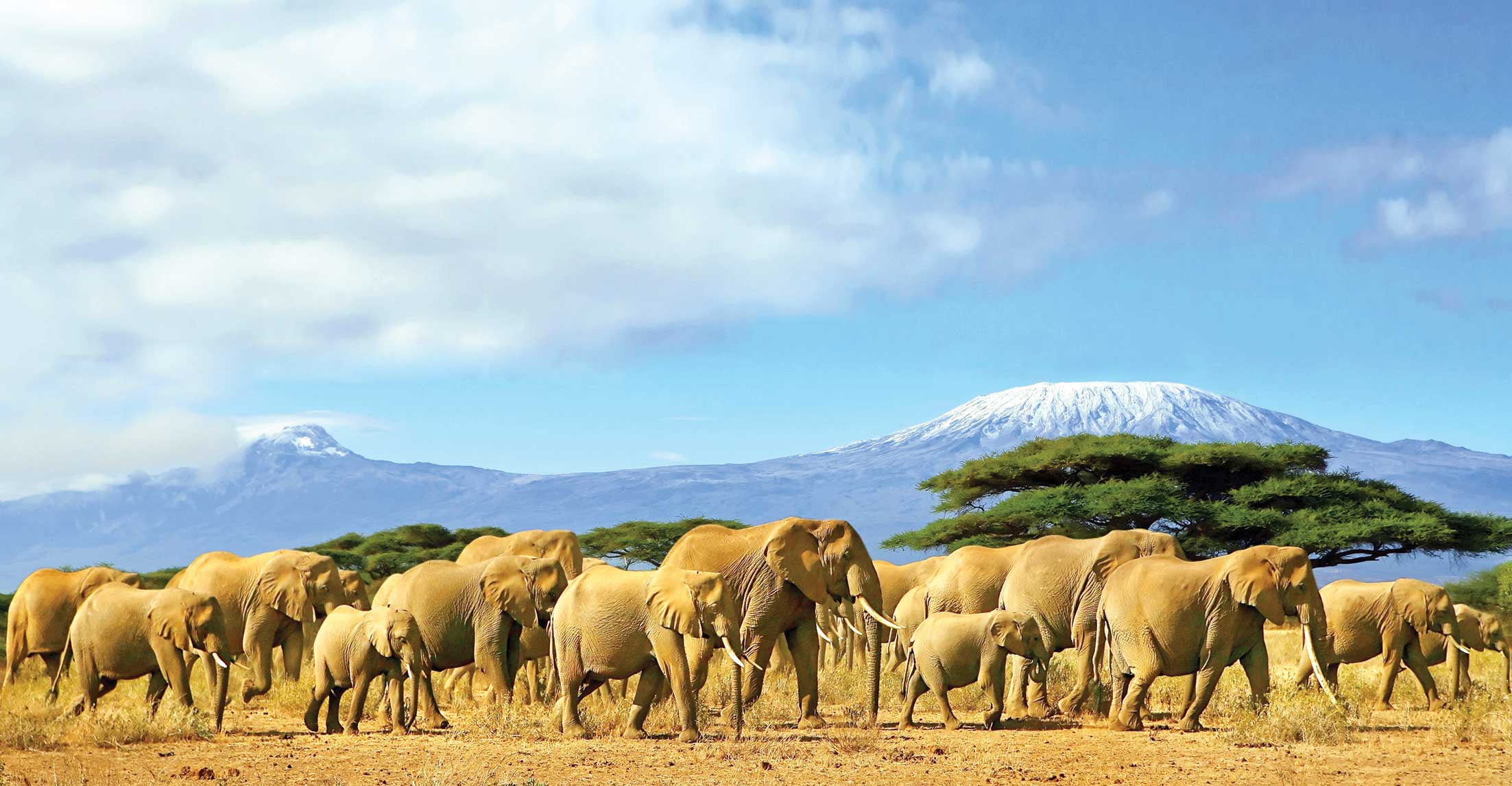 از کنیا، سرزمین عجایب قاره آفریقا که زیستگاه انسان‌های نخستین بود، چه می‌دانید؟