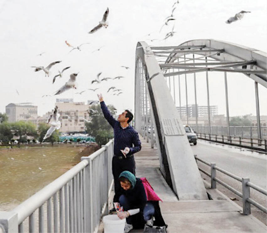 عکس خبر/ پرندگان پل سفید اهواز