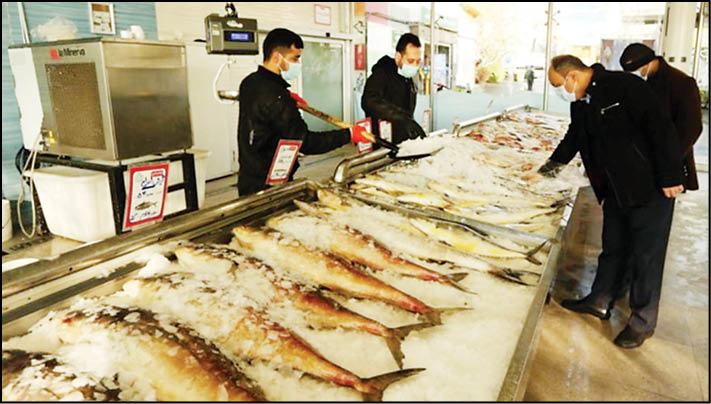 کاهش قیمت ماهی قزل‌آلا در میادین