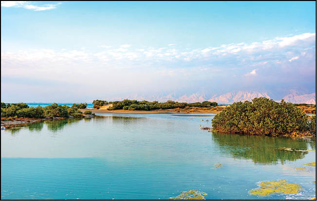 «نایبند» نخستین پارک ملی دریایی ایران
