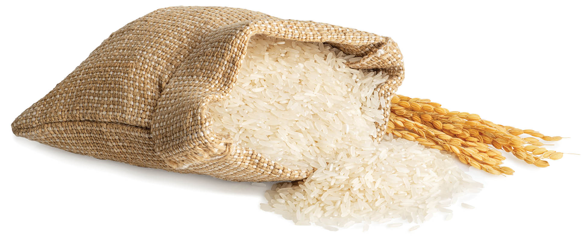 واردات 550هزار‌تن برنج برای آرامش بازار