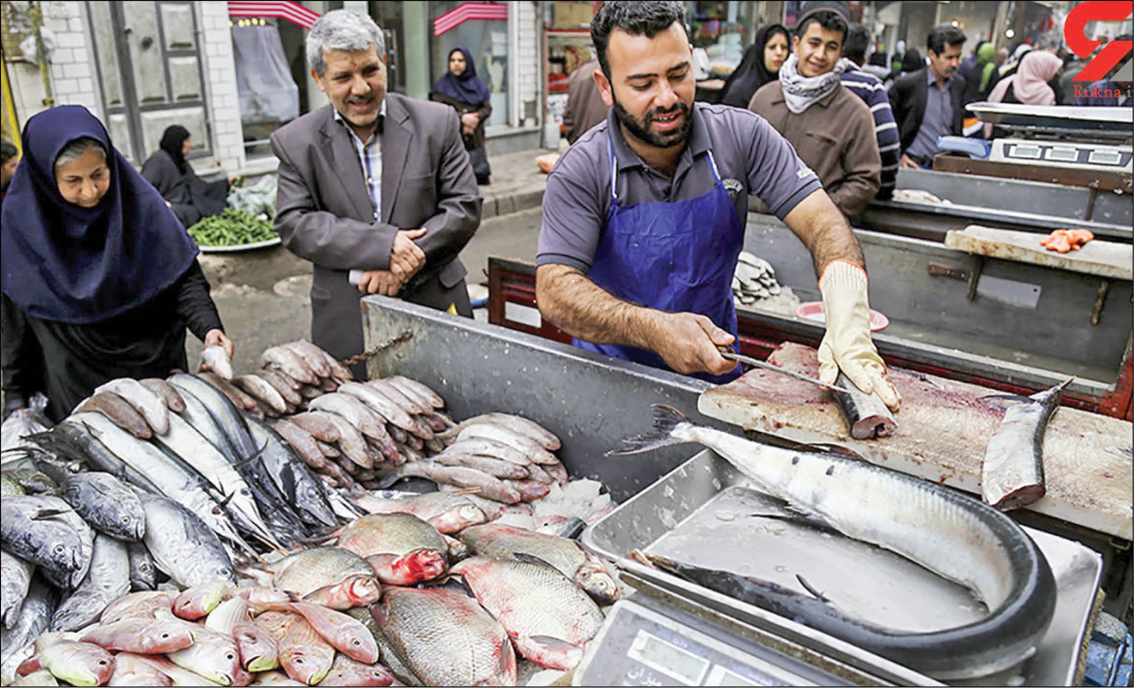 سیر نزولی قیمت ماهی از ابتدای هفته جاری