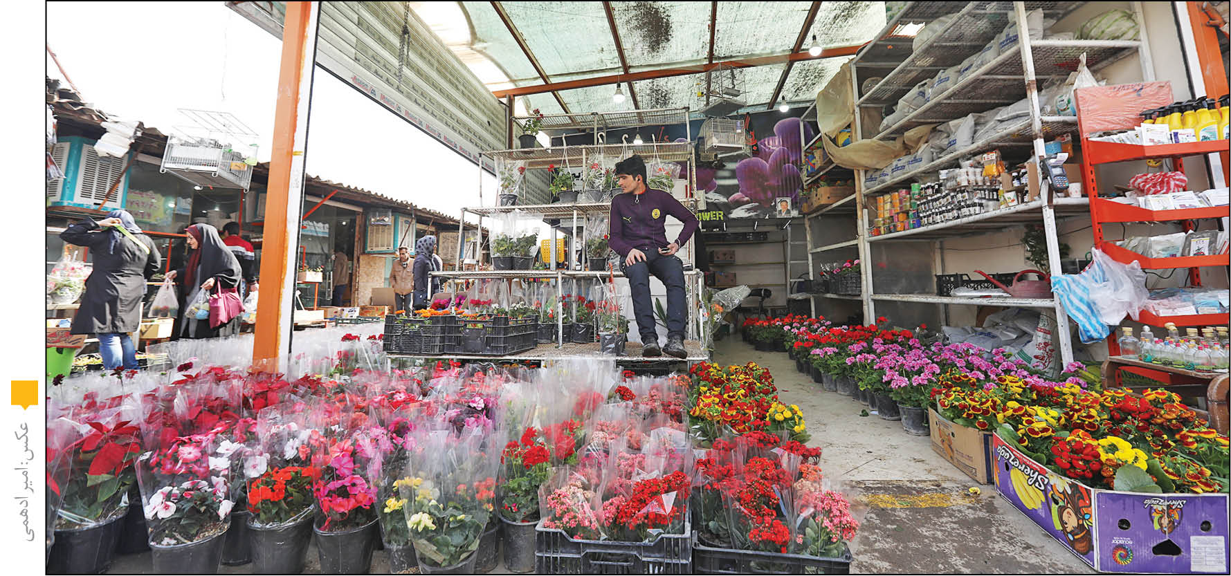 بازار گل مدرن به جای غرفه‌های ناایمن