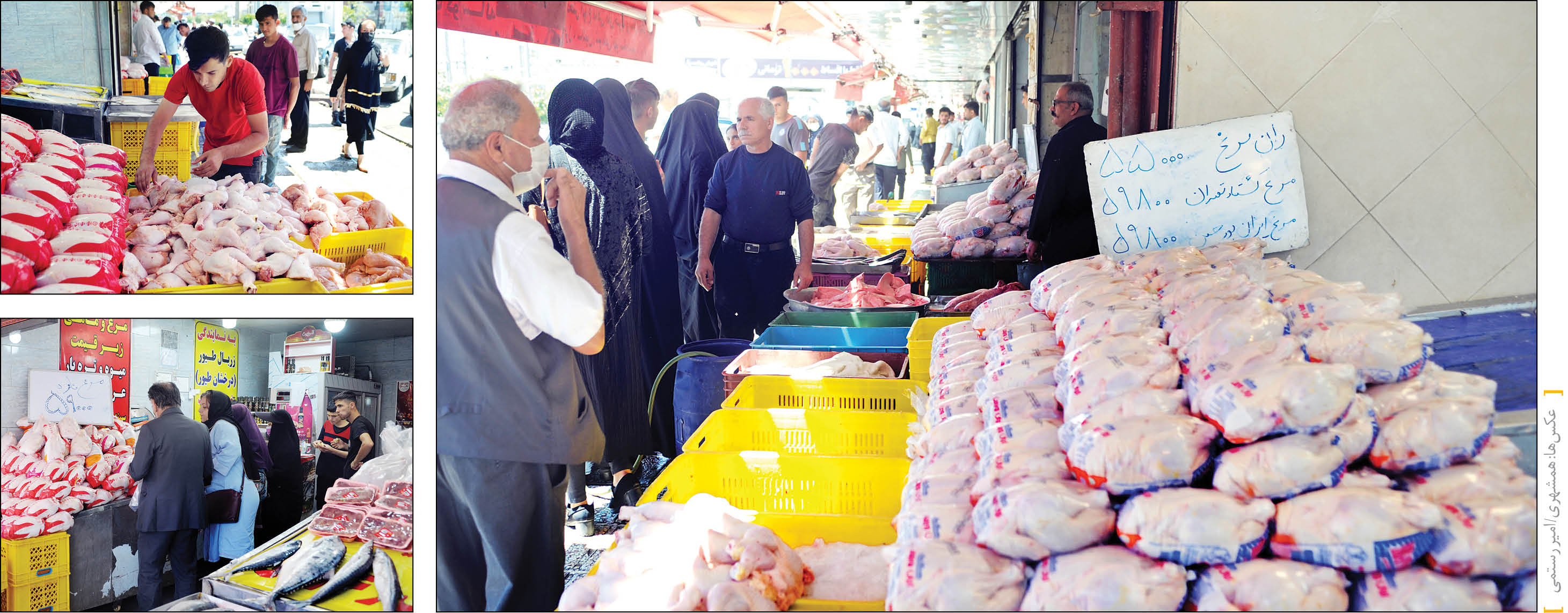 گزارش همشهری از وضعیت عرضه کالاهای اساسی با قیمت‌های جدید در تعدادی از میادین میوه و تره‌بار تهران