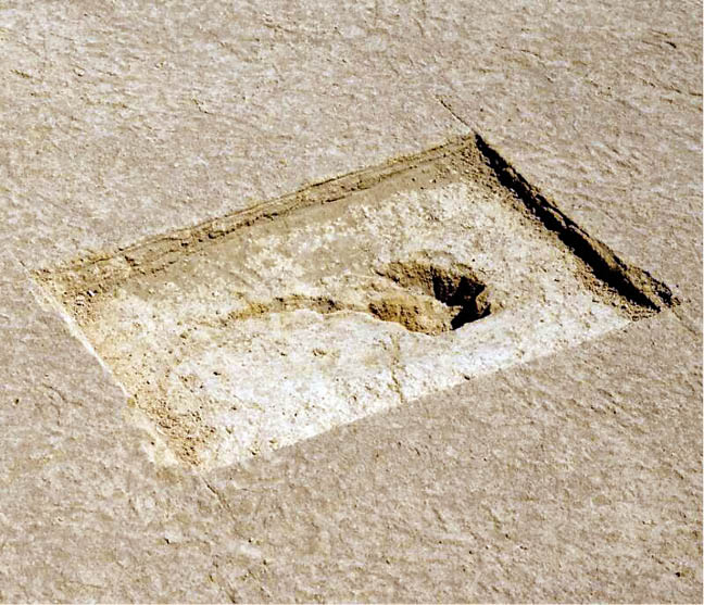 کشف ردپای 12هزار ساله