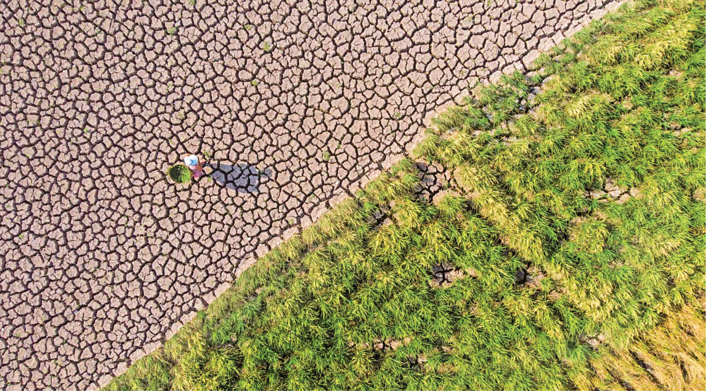 خشکسالی چین؛ پاشنه آشیل اقتصاد جهان
