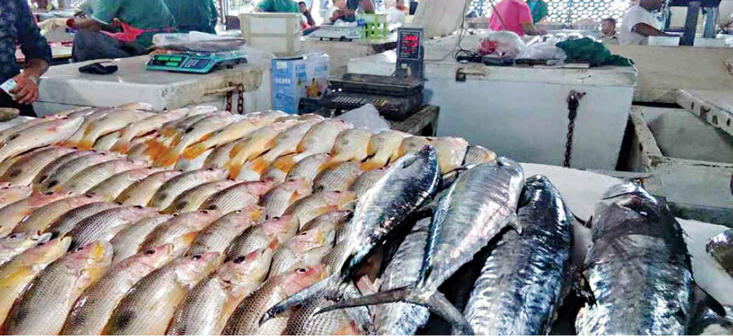 سرانه مصرف ماهی، باز هم کاهش یافت