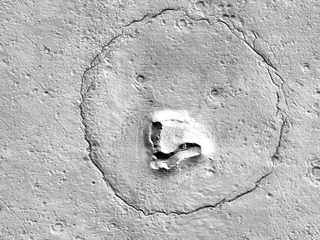 خرس گریزلی در مریخ