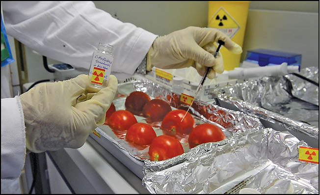 فناوری هسته‌ای برای مقابله با بحران غذایی
