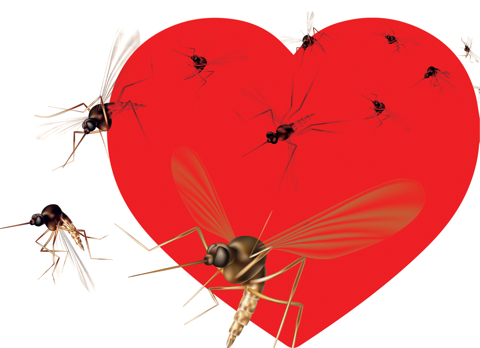 رابطه عاشقانه پشه‌ها و بوی انسان