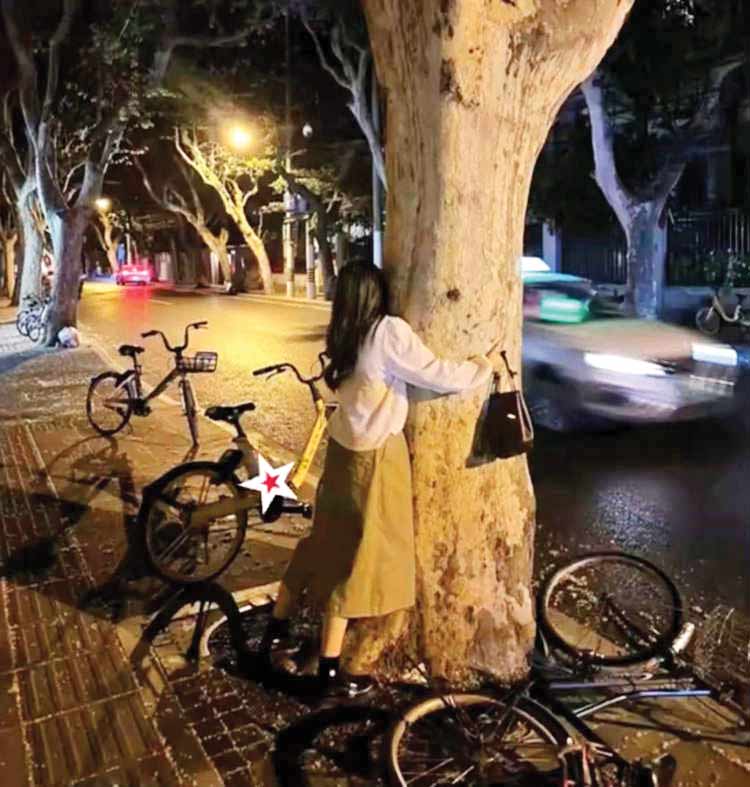 در آغوش درخت
