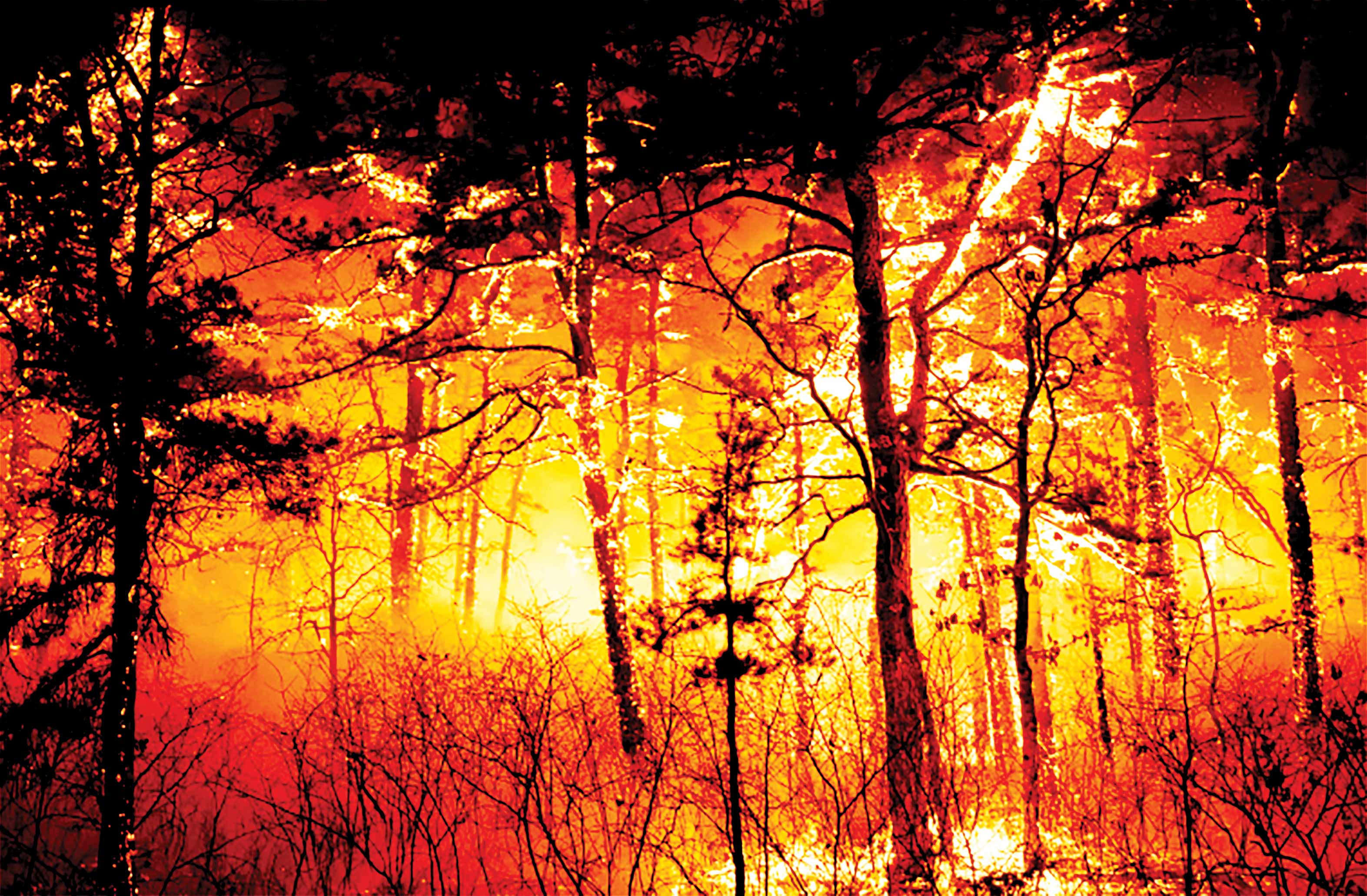 کاهش 90درصدی آتش‌سوزی جنگل‌ها