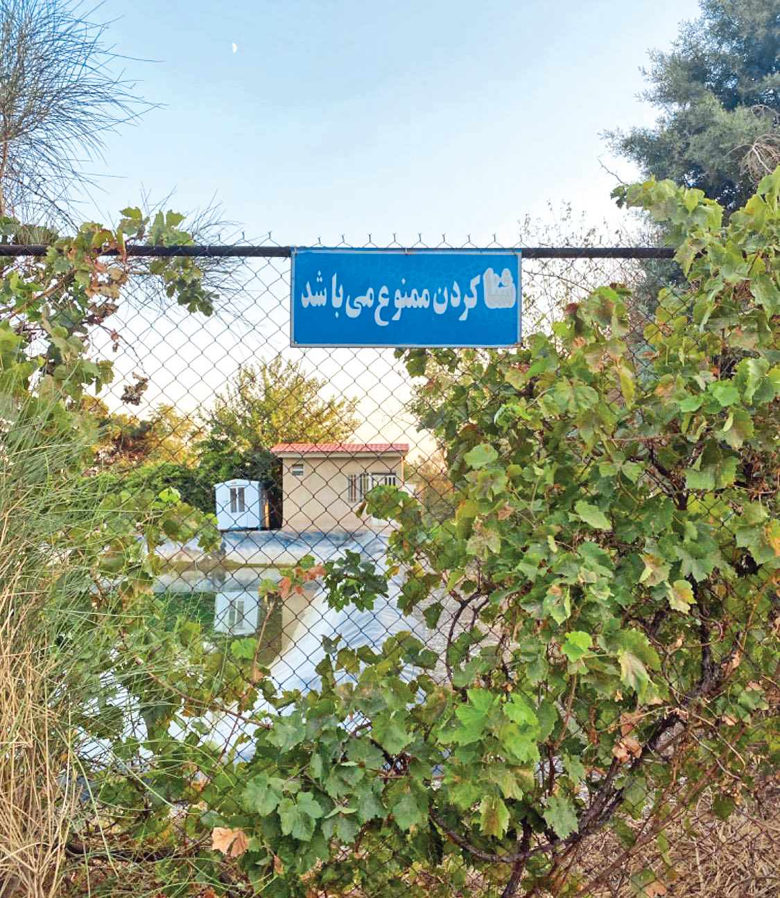 رمزگشایی از پرونده حادثه بوستان زیتون در خیابان بهشت