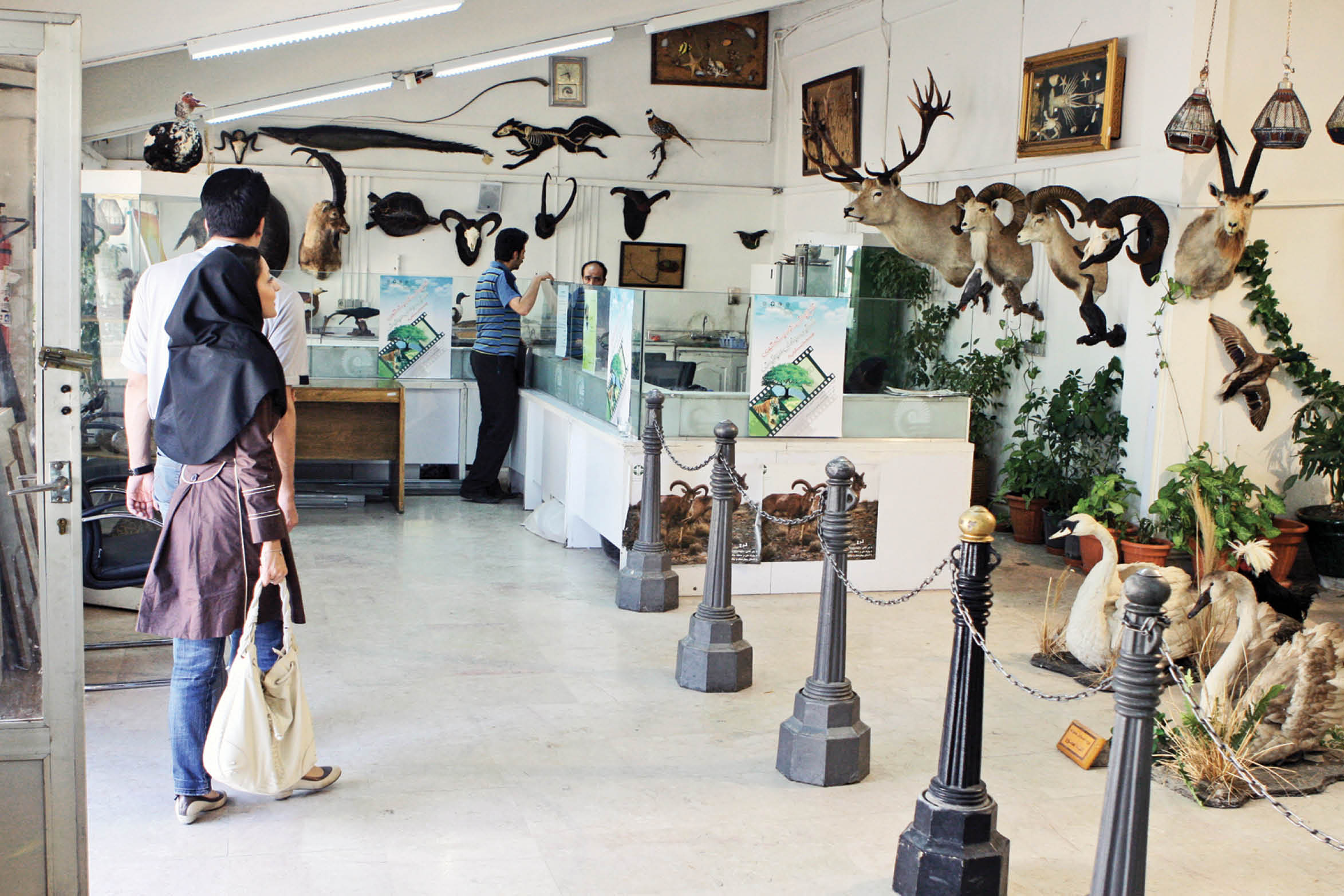 موزه‌های تاریخ طبیعی تهران مقاصد گردشگری متفاوت شهر هستند