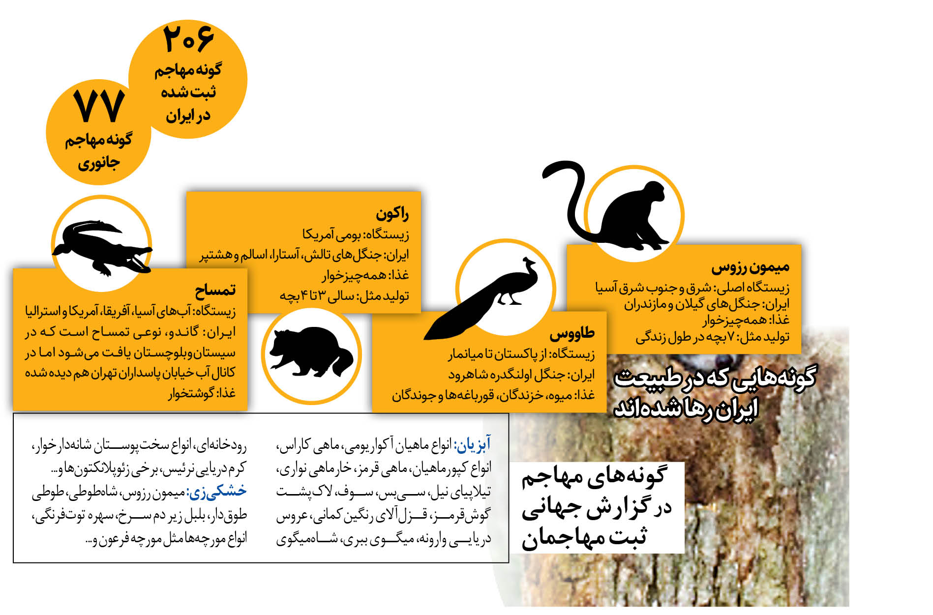  206 حیوان غریبه‌ درطبیعت ایران‌