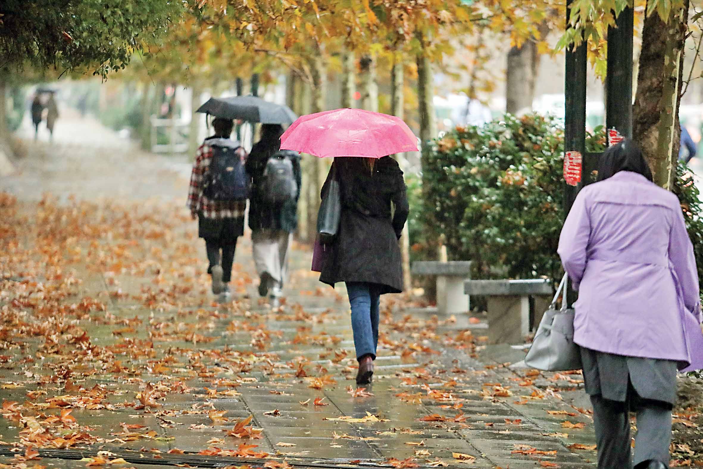 نواخته‌شدن سمفونی باران در تهران