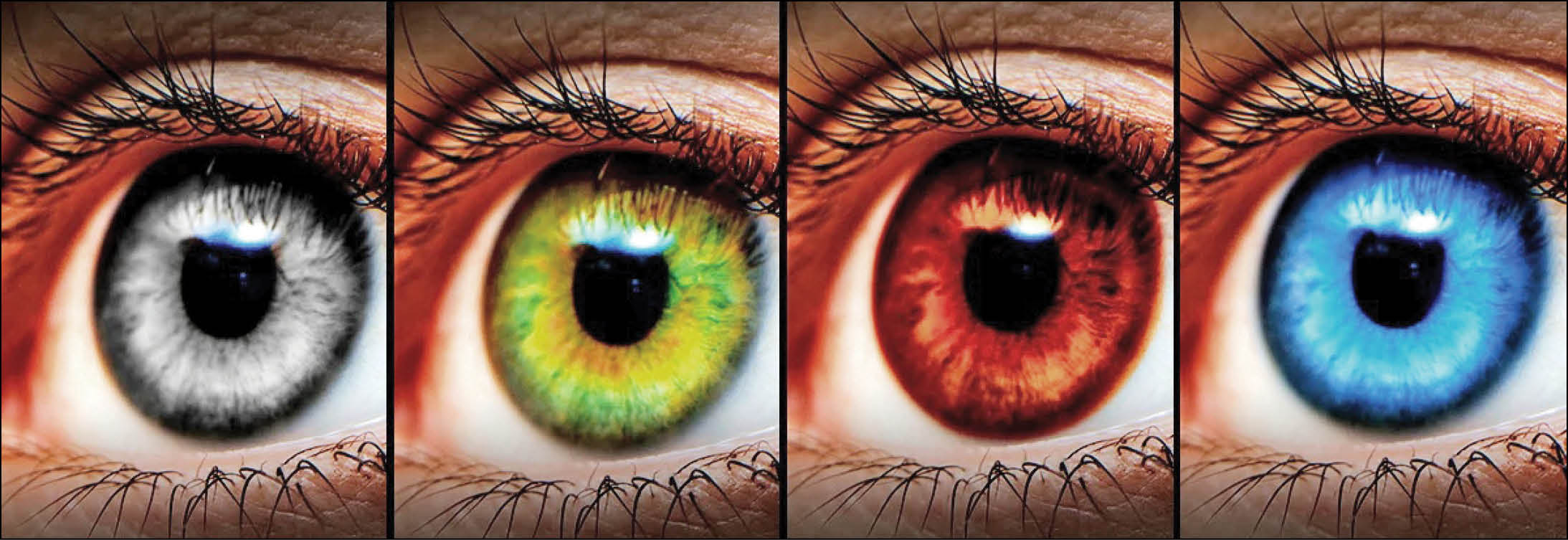 تأثیر رنگ چشم‌ در زندگی