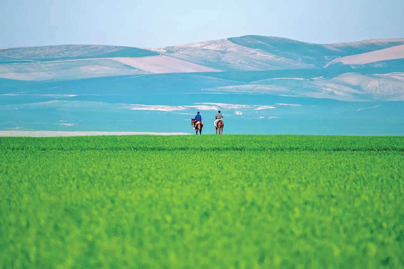 ترکمن‌صحرا