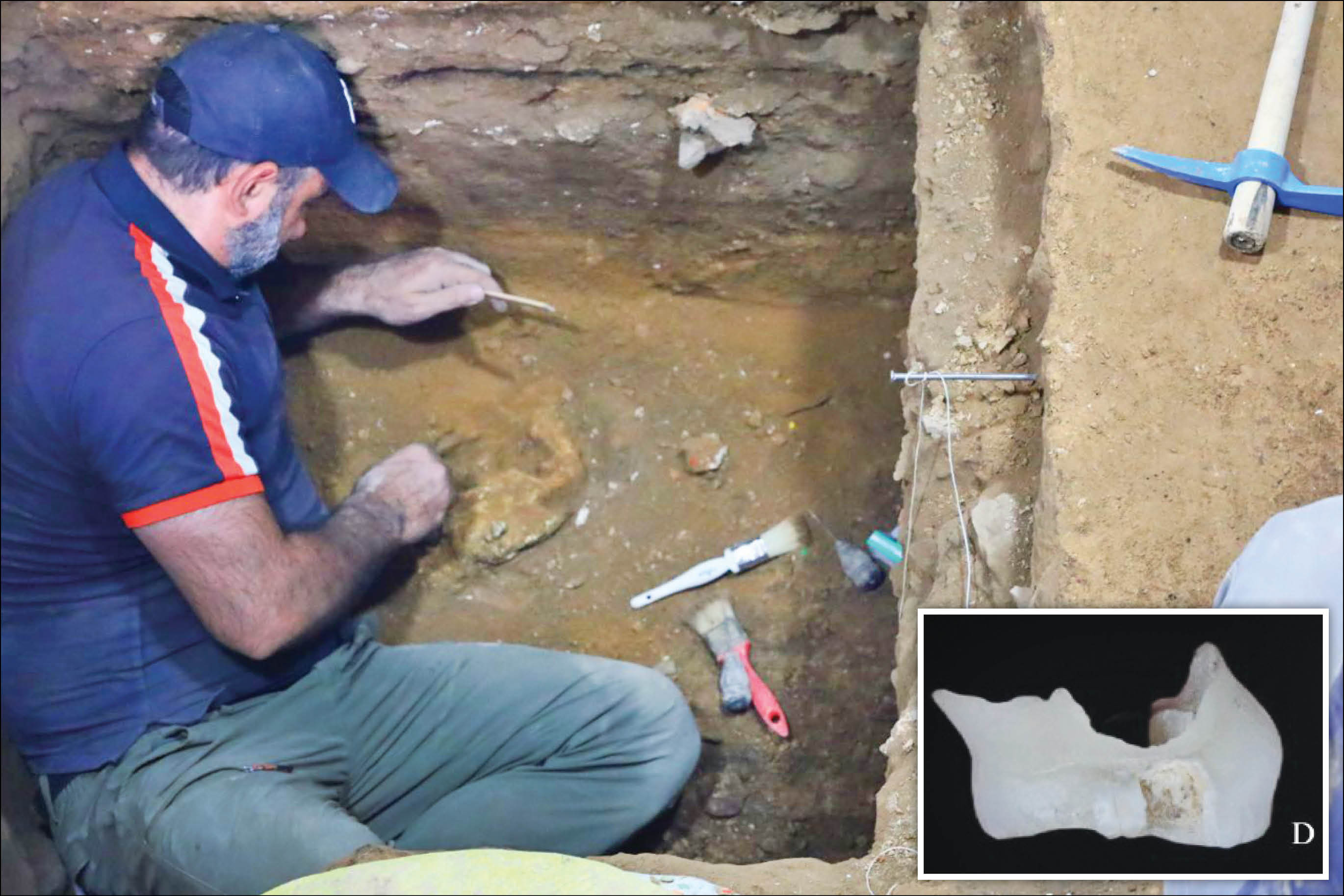 حامد وحدتی‌نسب، یابنده کهن‌ترین دندان نئاندرتال در ایران از کشف استقرار 500هزار ساله انسان در ایران خبر داد