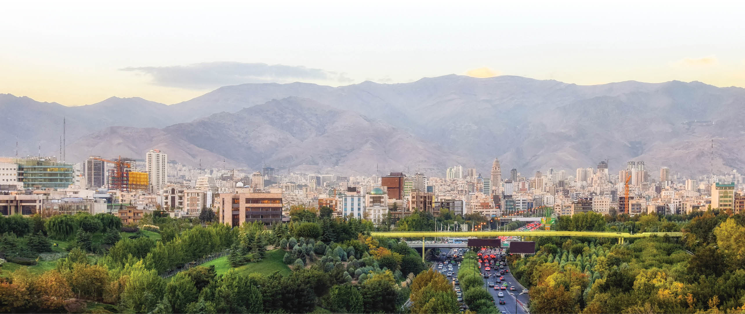درختان تهران حفظ می‌شوند