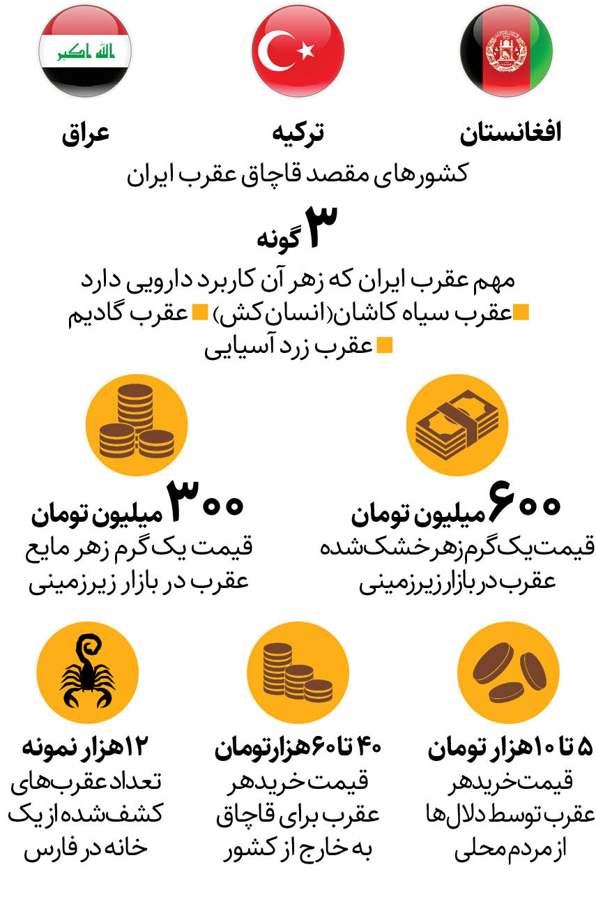 بازارهای زیرزمینی خرید و فروش عقرب در ایران