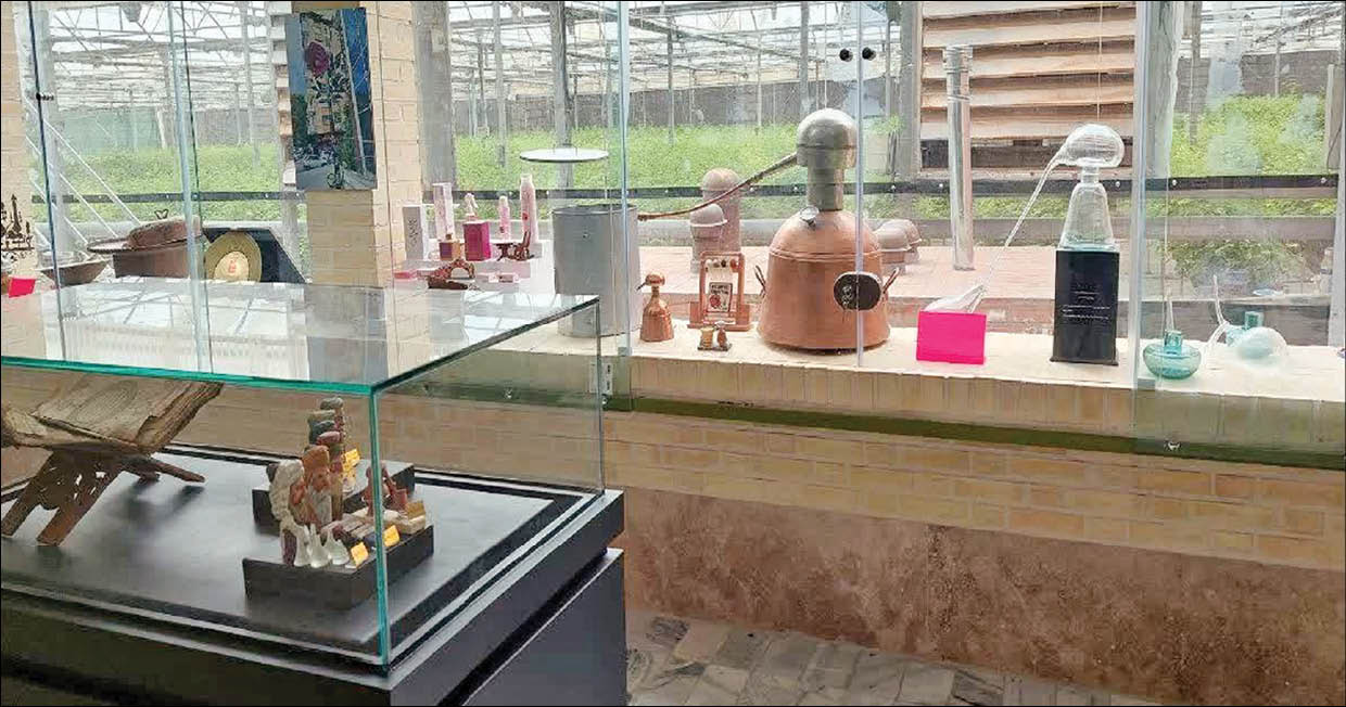 موزه‌ها و مراکز تخصصی گل و گیاه تهران مقاصد جذابی برای گشت‌و‌گذارند