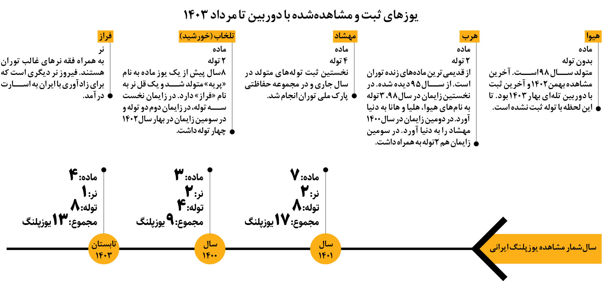 مشاهده 13یوزپلنگ در پارک ملی توران