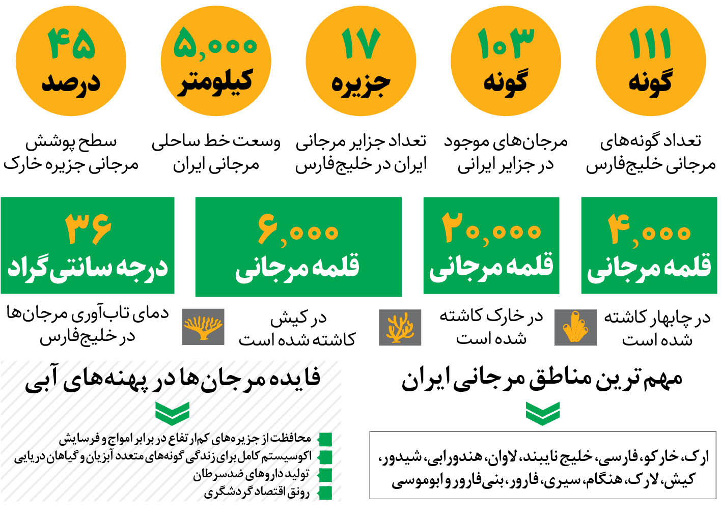 پروژه تکثیر مرجان‌های خلیج‌فارس به نتیجه رسید