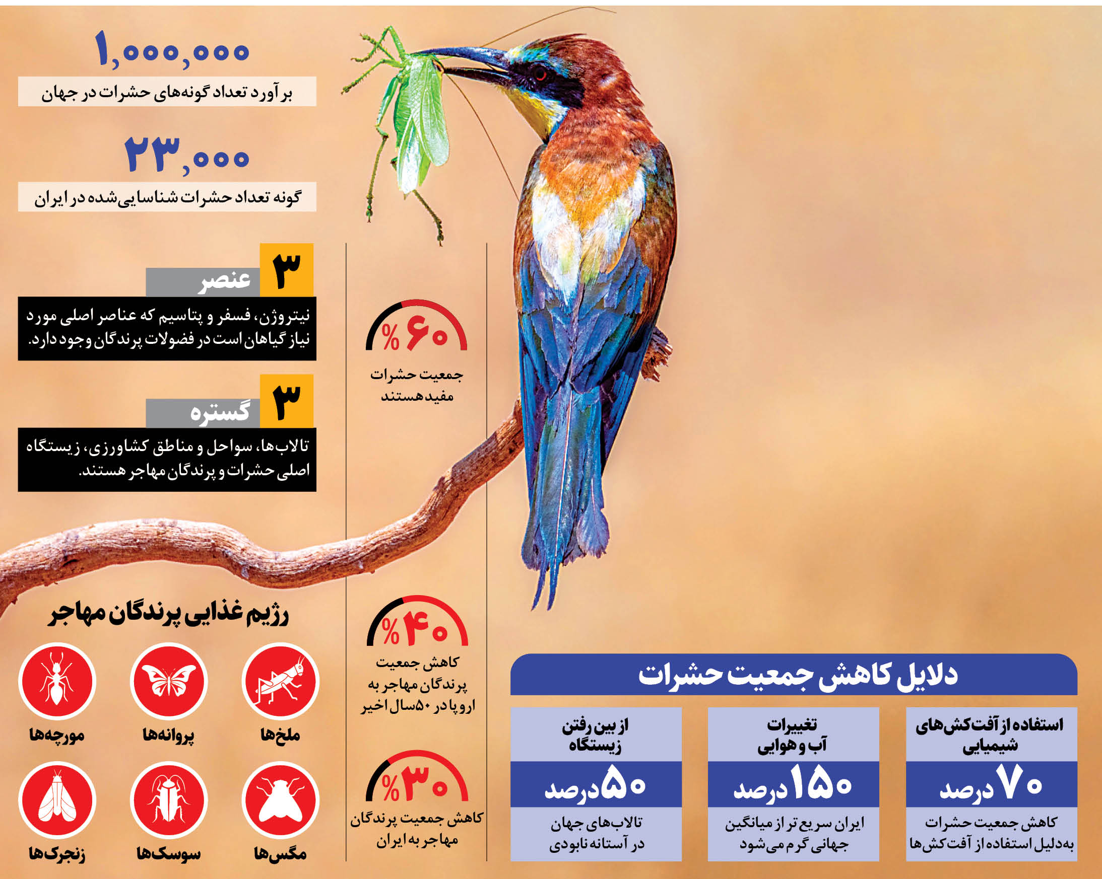 کاهش جمعیت حشرات، تهدیدی جدی برای پرندگان مهاجر