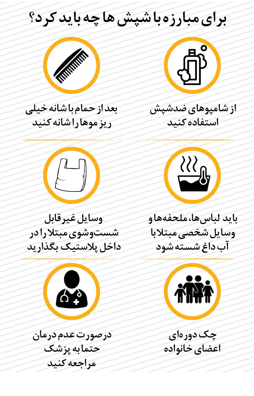 روش هایی ساده برای جلوگیری از ابتلا به شپش