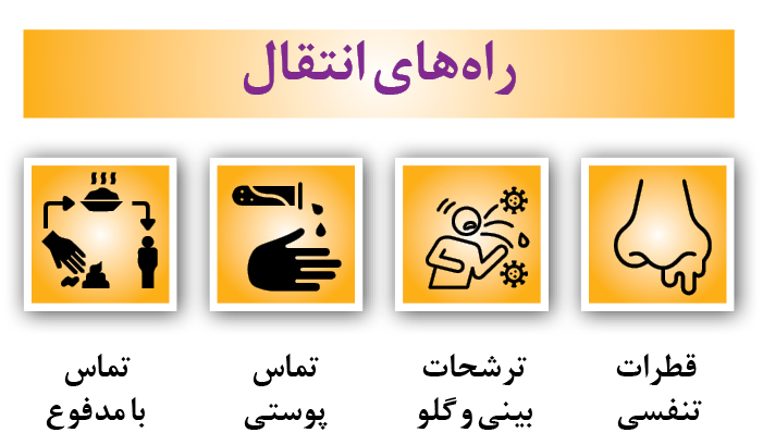 علائم بیماری «دست و پا و دهان» و روش های انتقال آن