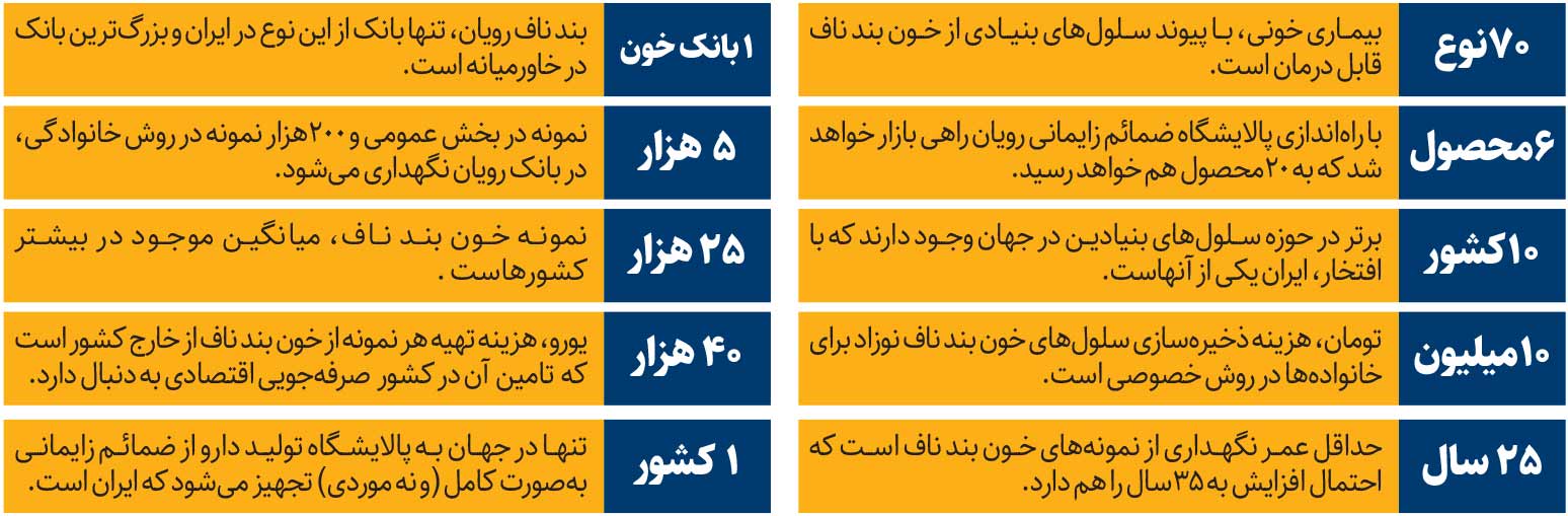 ضمائم زایمانی می‌توانند منجر به ایجاد سلول‌های بنیادی شوند