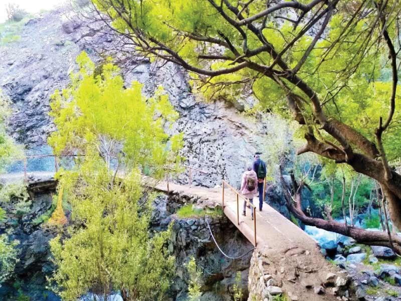 سفر به جنگل هزارساله تهران