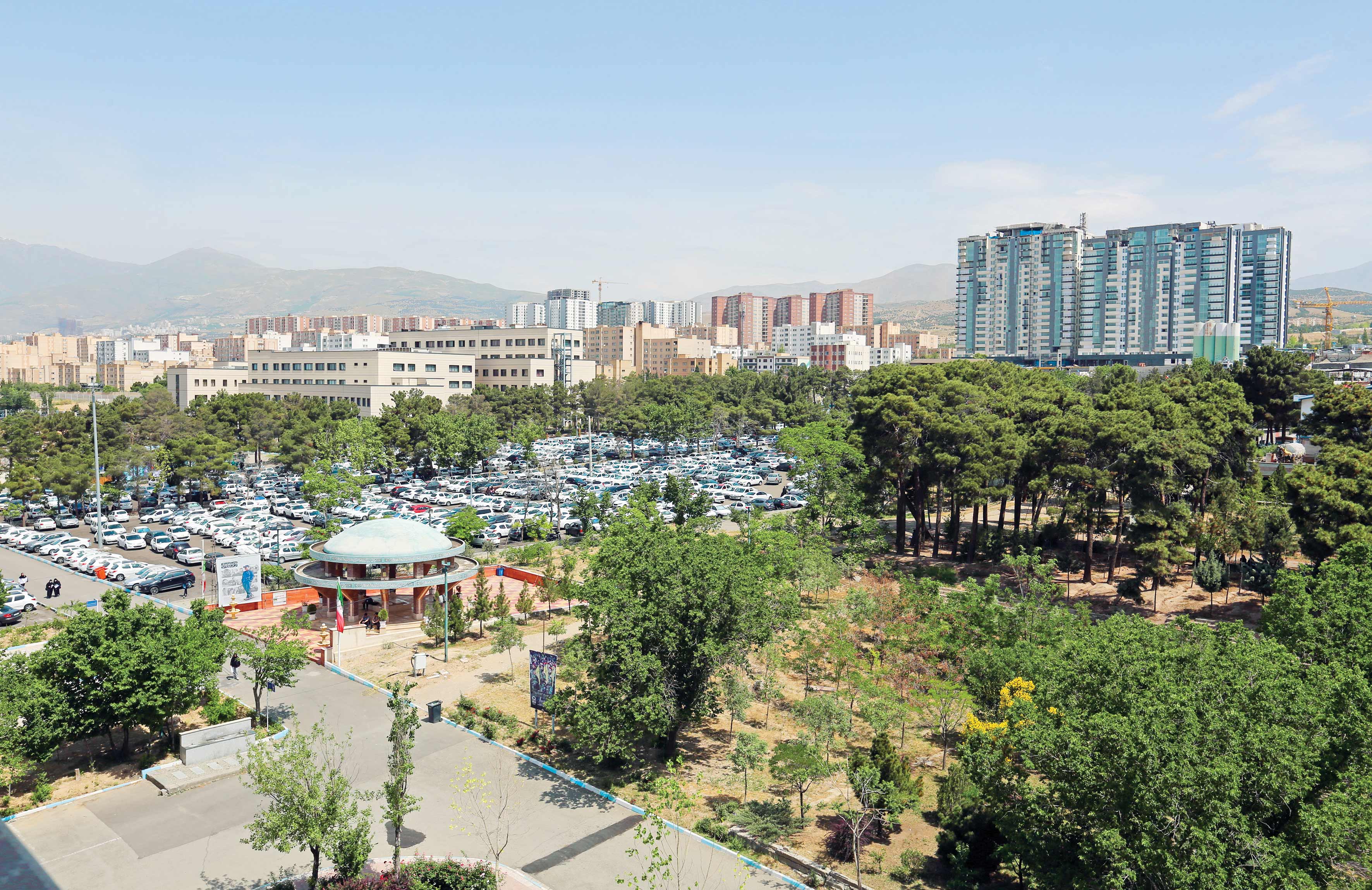 همنشینی برای مهار آلودگی