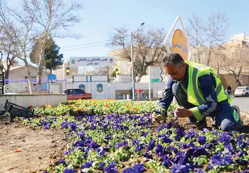 افزایش سرانه فضای سبز زاهدان با پساب