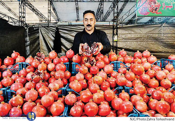 پاییزگردی با طعم انار